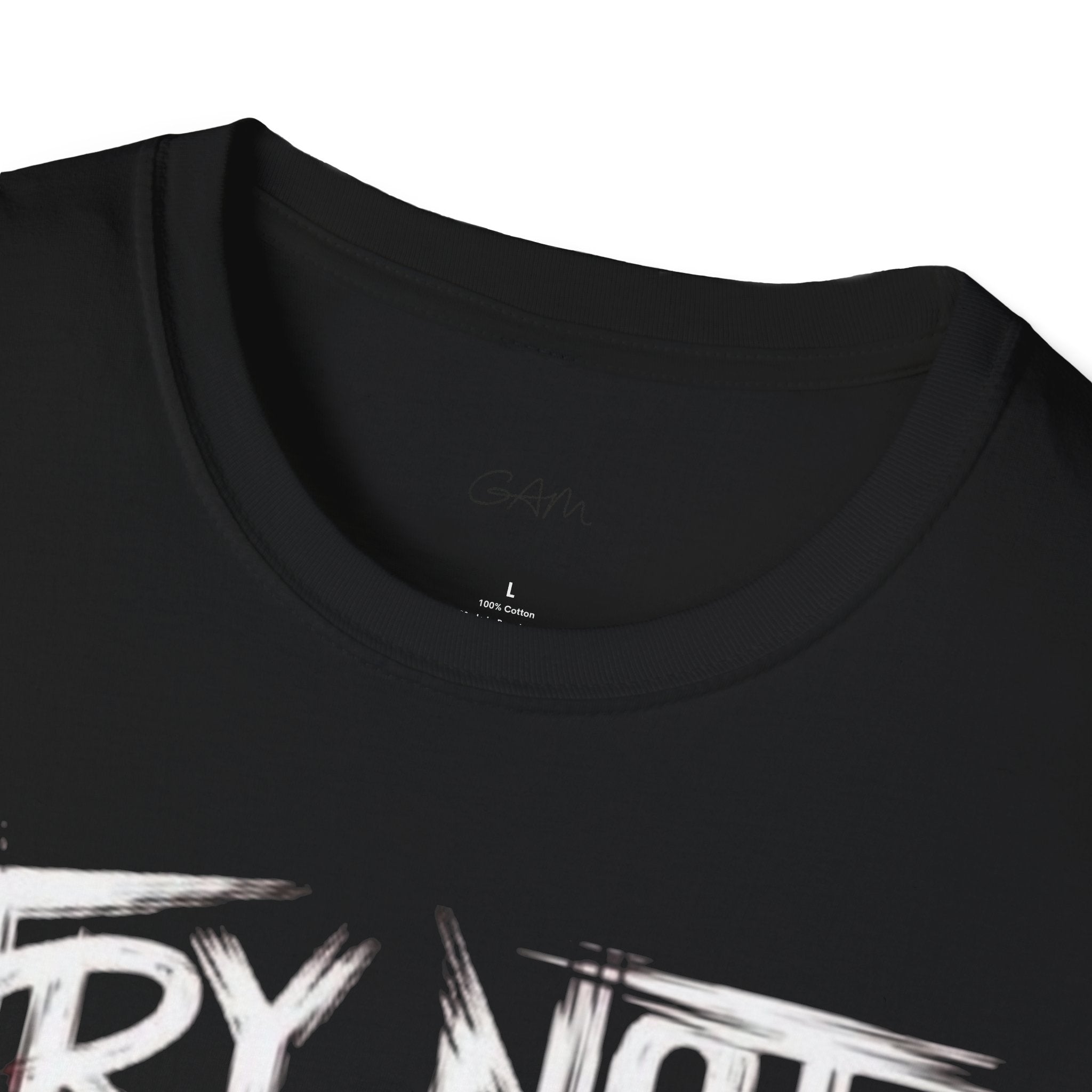 Try Not to Be Stupid If You Can T-Shirt — Funny Graphic Tee