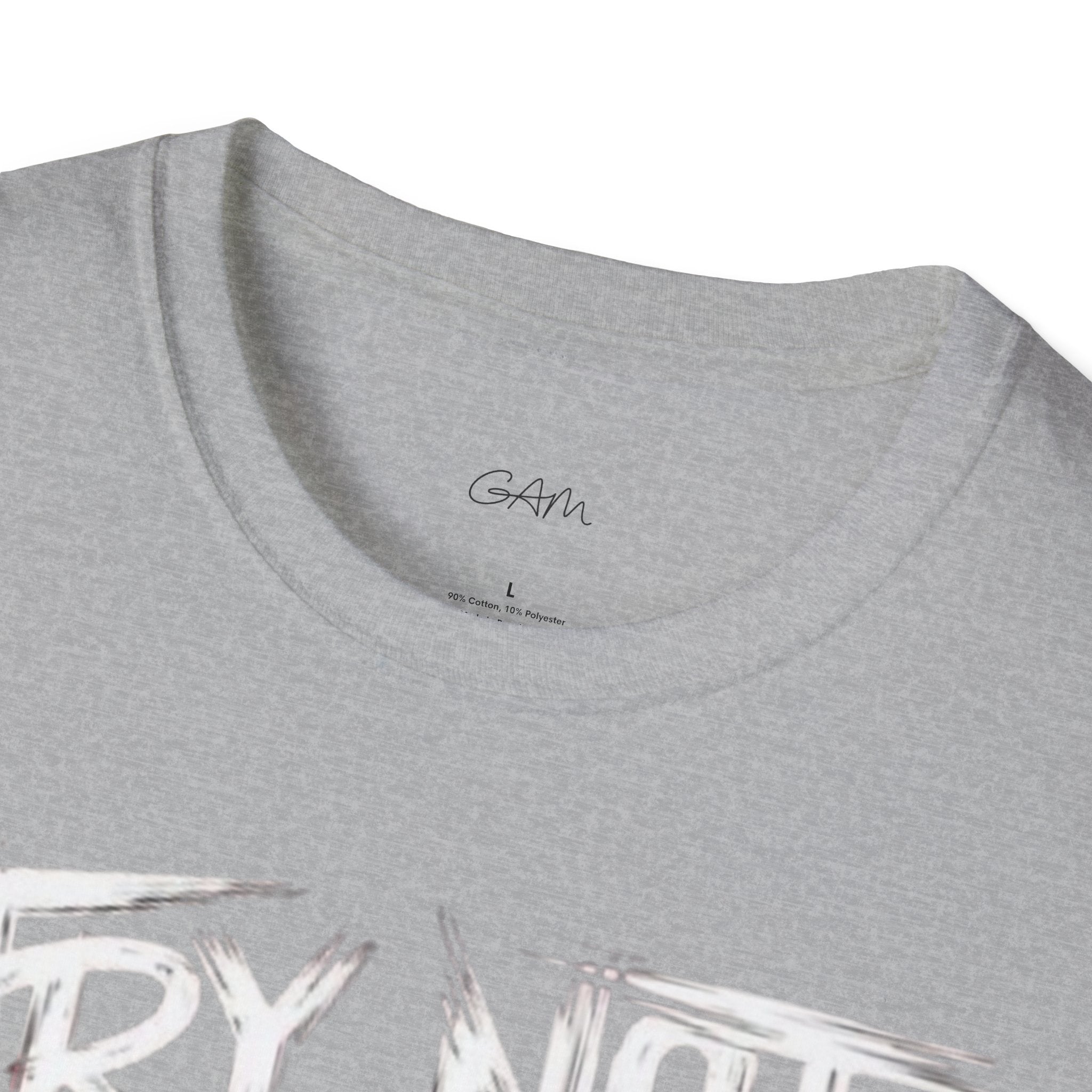 Try Not to Be Stupid If You Can T-Shirt — Funny Graphic Tee